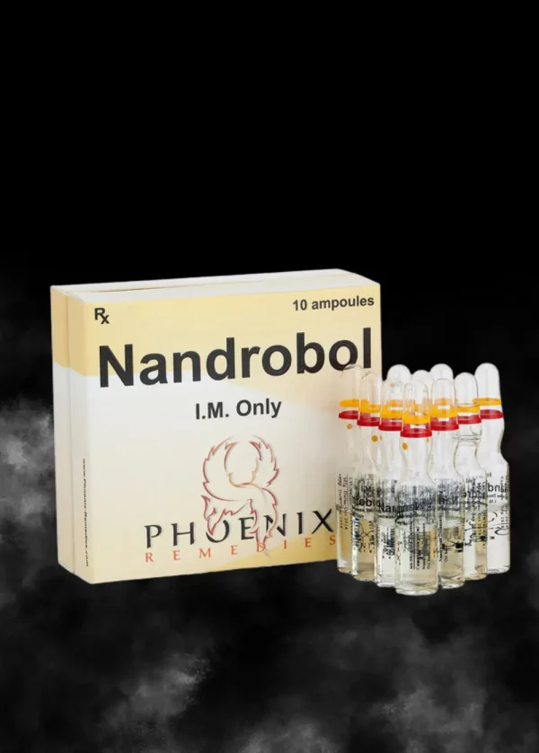 NandroBol